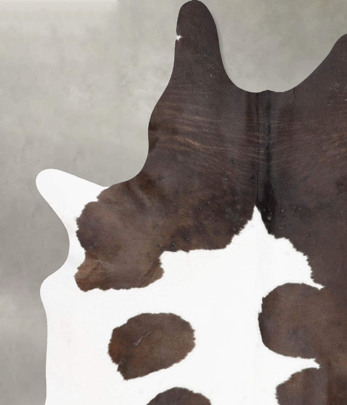 Chocolate and White XX-Large Brazilian Cowhide Rug 8'1"H x 6'5"W #B29246 by Hudson Hides