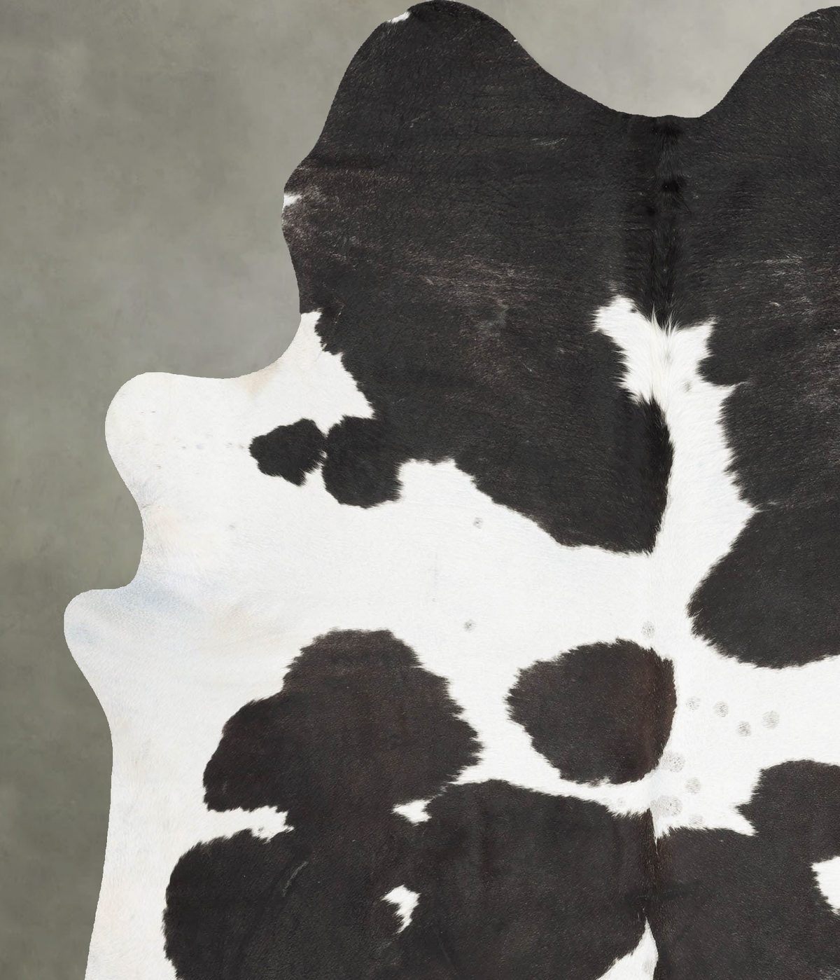 Black and White XX-Large Brazilian Cowhide Rug 7'11"H x 6'4"W #B29249 by Hudson Hides