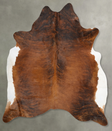Medium Brindle XX-Large Brazilian Cowhide Rug 8'4"H x 7'0"W #B29250 by Hudson Hides