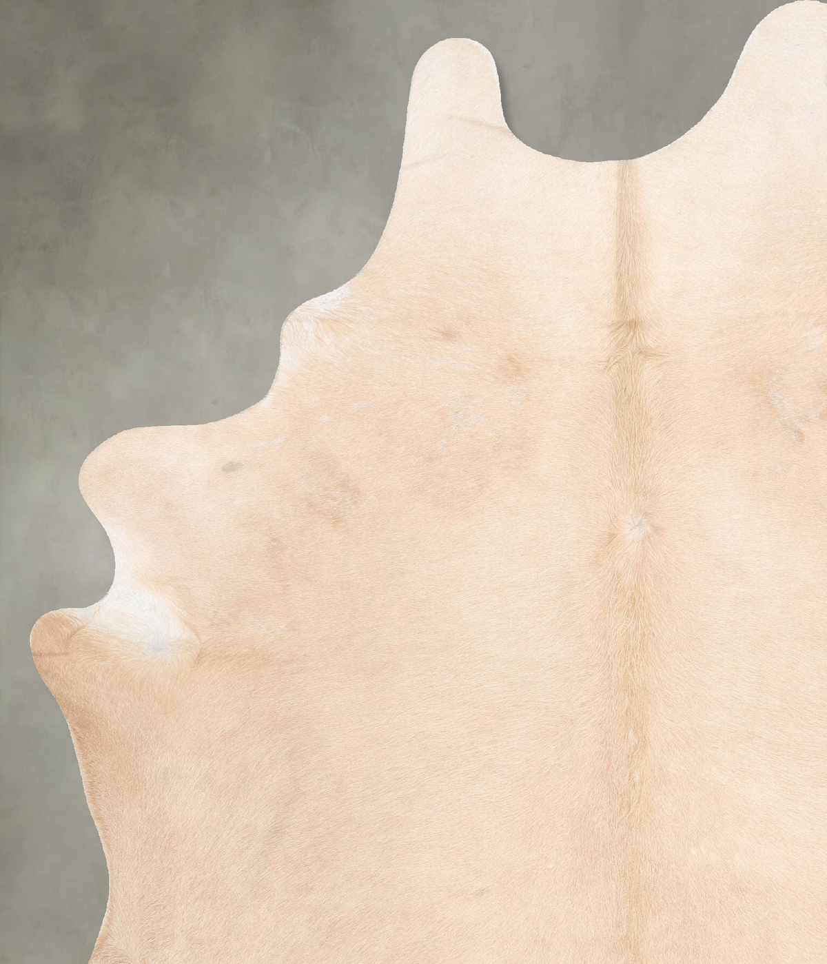 Palomino X-Large Brazilian Cowhide Rug 8'3"H x 6'0"W #B29253 by Hudson Hides