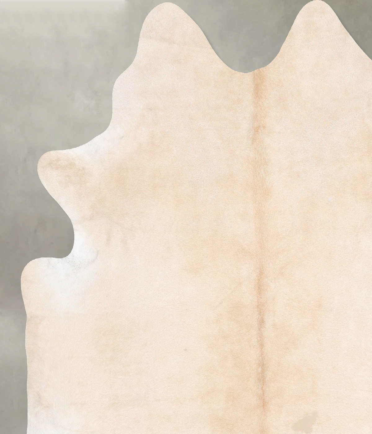 Palomino XX-Large Brazilian Cowhide Rug 8'4"H x 7'5"W #B29257 by Hudson Hides