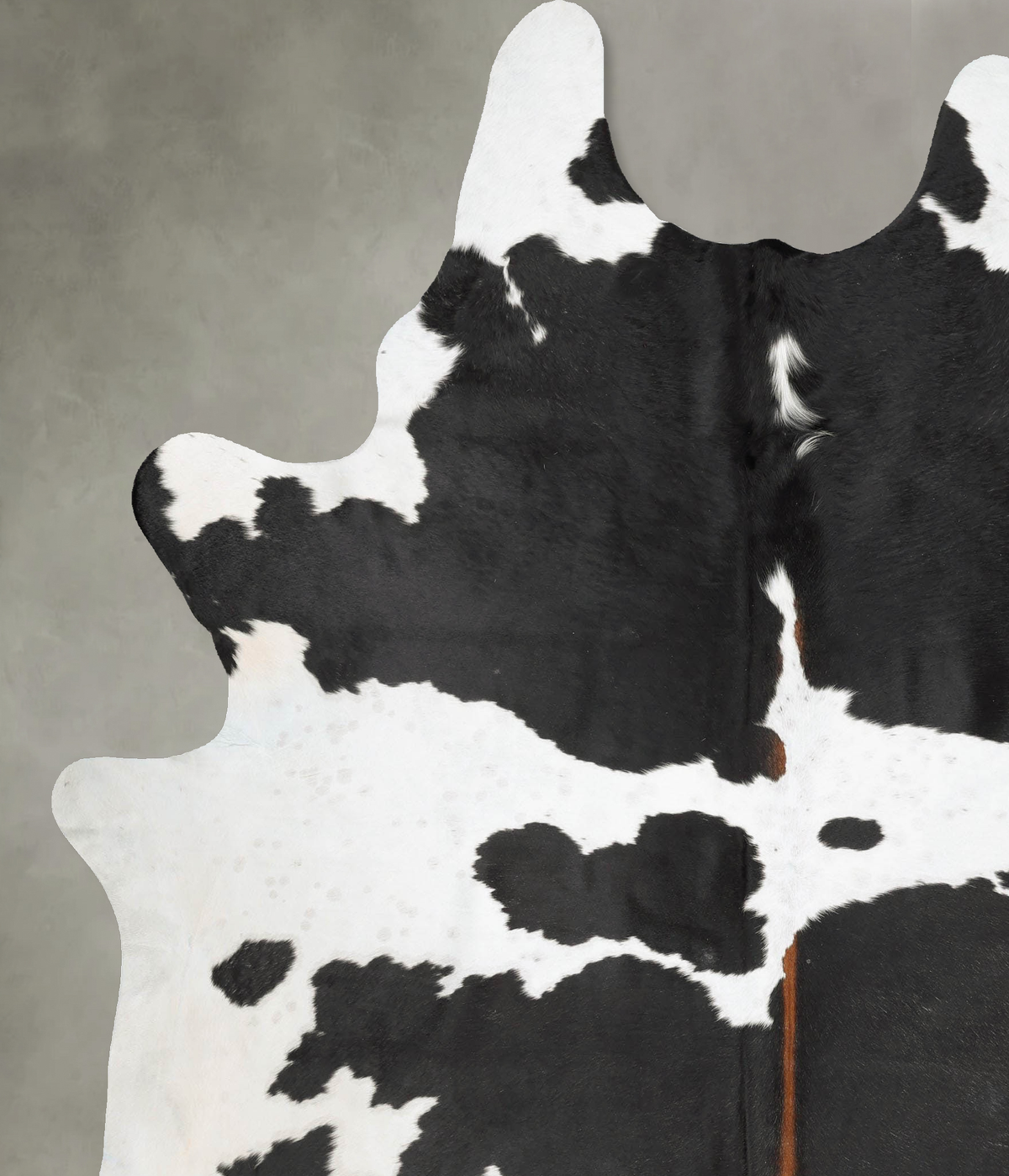 Chocolate and White XX-Large Brazilian Cowhide Rug 8'8"H x 7'0"W #B29259 by Hudson Hides