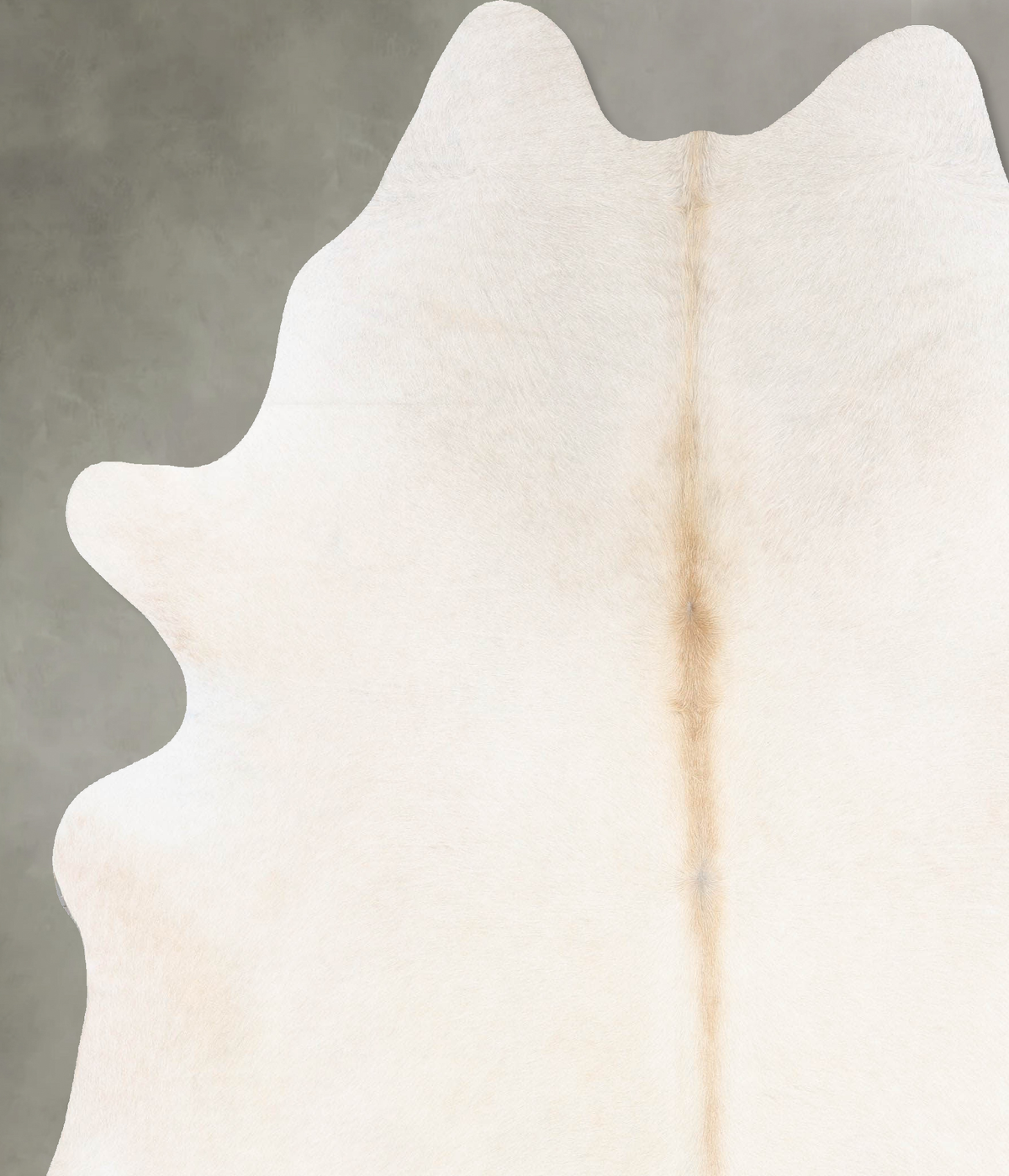 Ivory with Beige XX-Large Brazilian Cowhide Rug 8'3"H x 7'0"W #B29260 by Hudson Hides