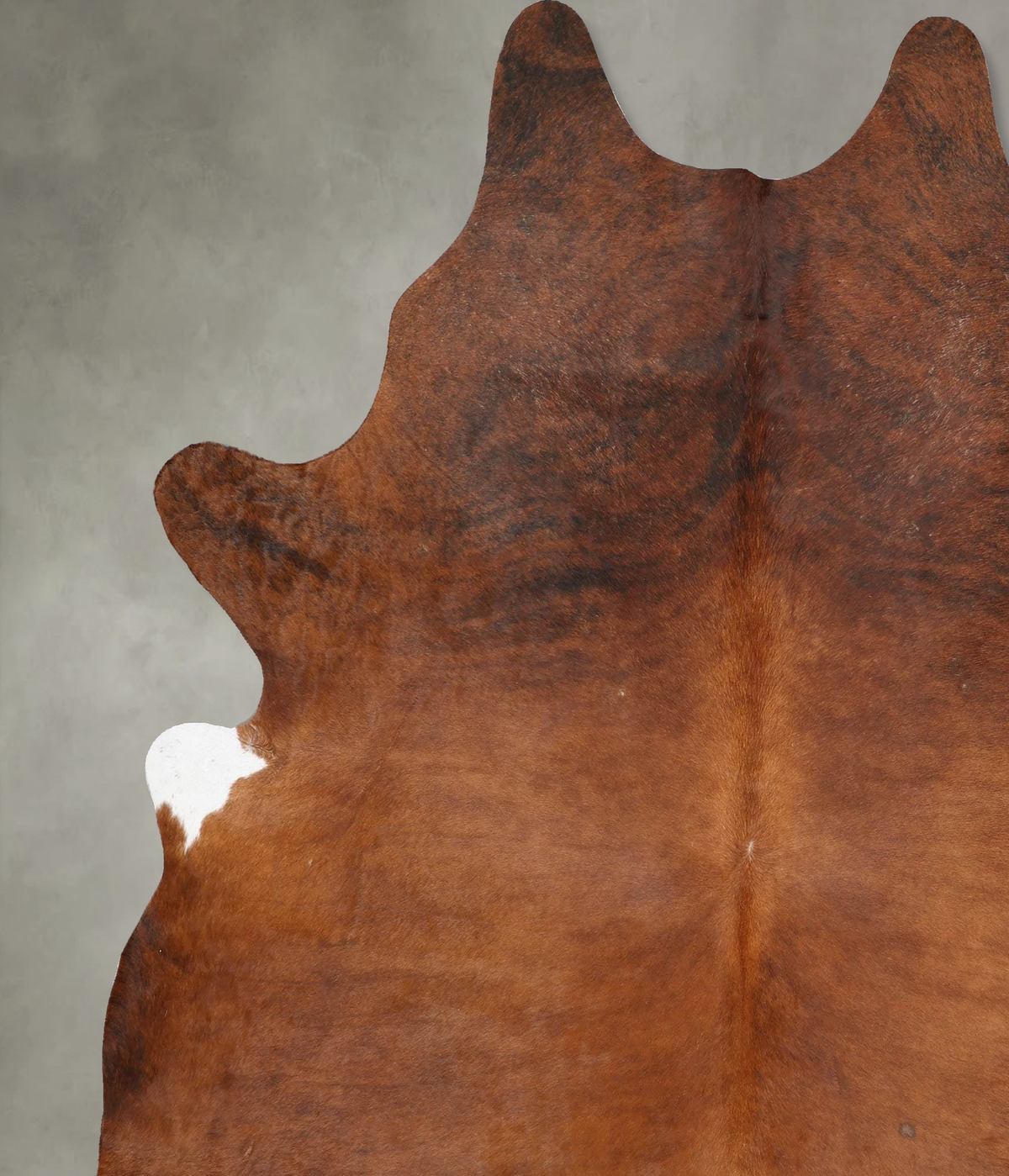 Medium Brindle XX-Large Brazilian Cowhide Rug 8'5"H x 6'10"W #B29262 by Hudson Hides