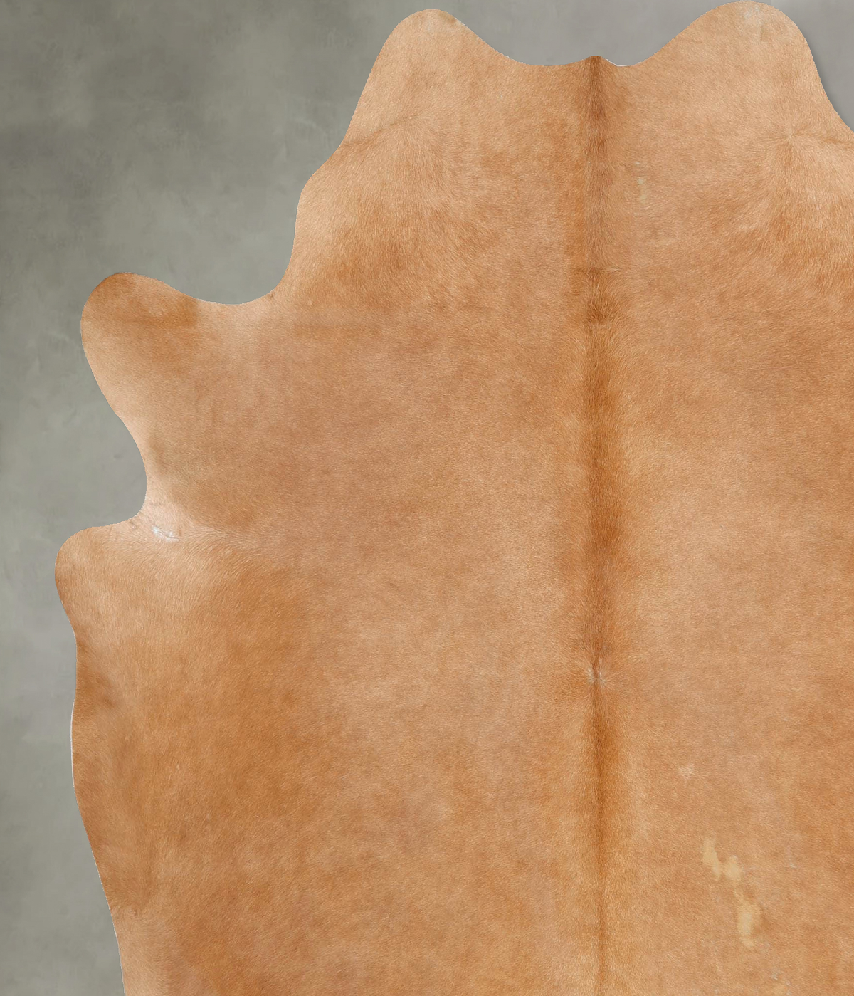 Beige XX-Large Brazilian Cowhide Rug 7'10"H x 6'8"W #B29265 by Hudson Hides