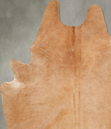 Beige XX-Large Brazilian Cowhide Rug 8'7"H x 6'3"W #B29267 by Hudson Hides