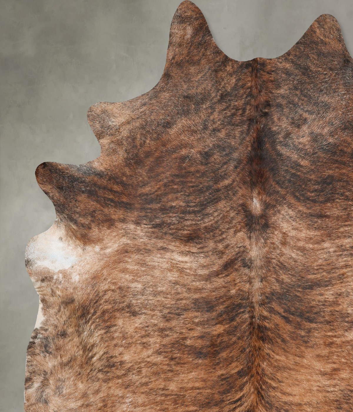 Medium Brindle XX-Large Brazilian Cowhide Rug 9'6"H x 7'8"W #B29269 by Hudson Hides