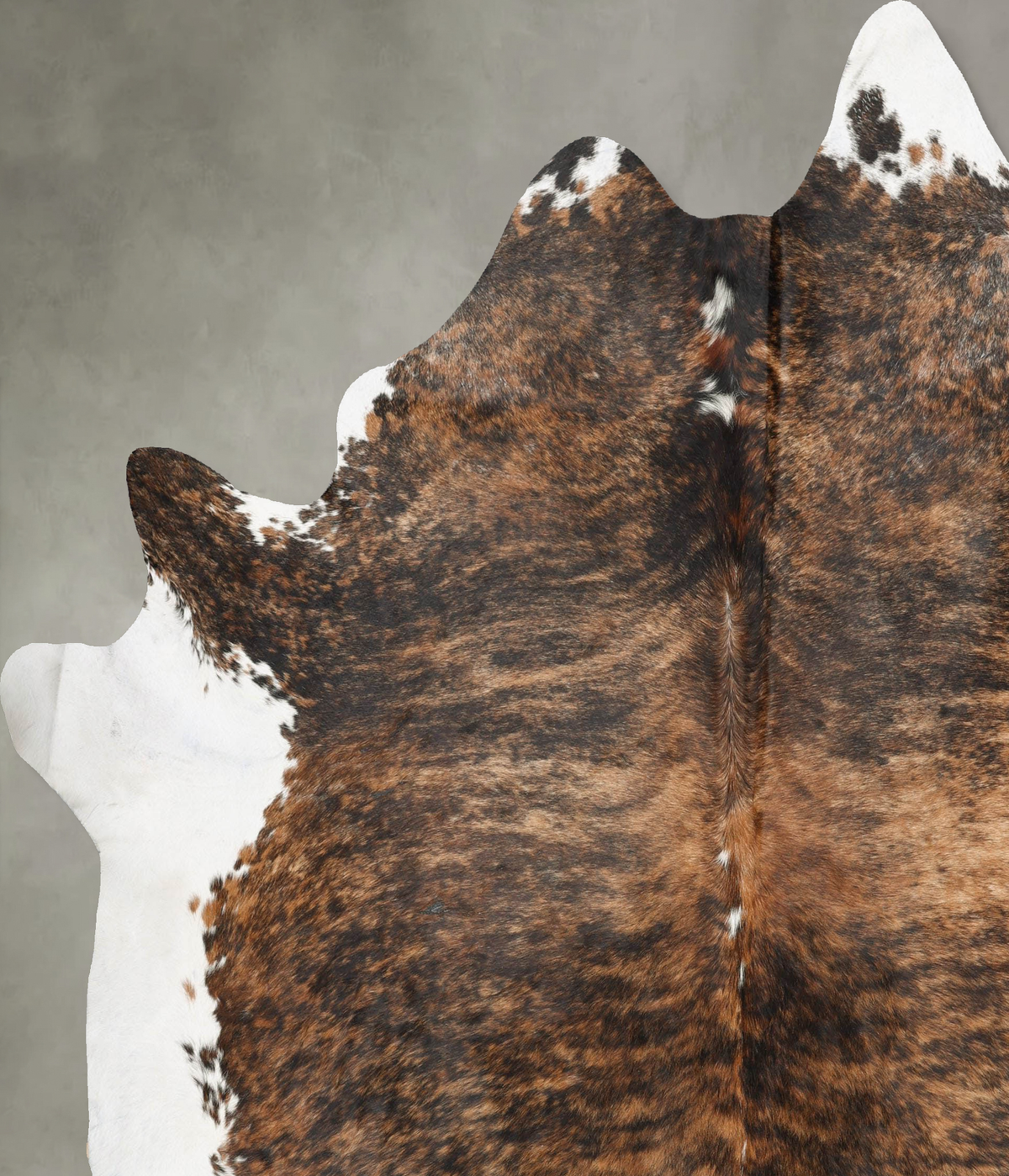 Tricolor XX-Large Brazilian Cowhide Rug 8'8"H x 7'6"W #B29271 by Hudson Hides