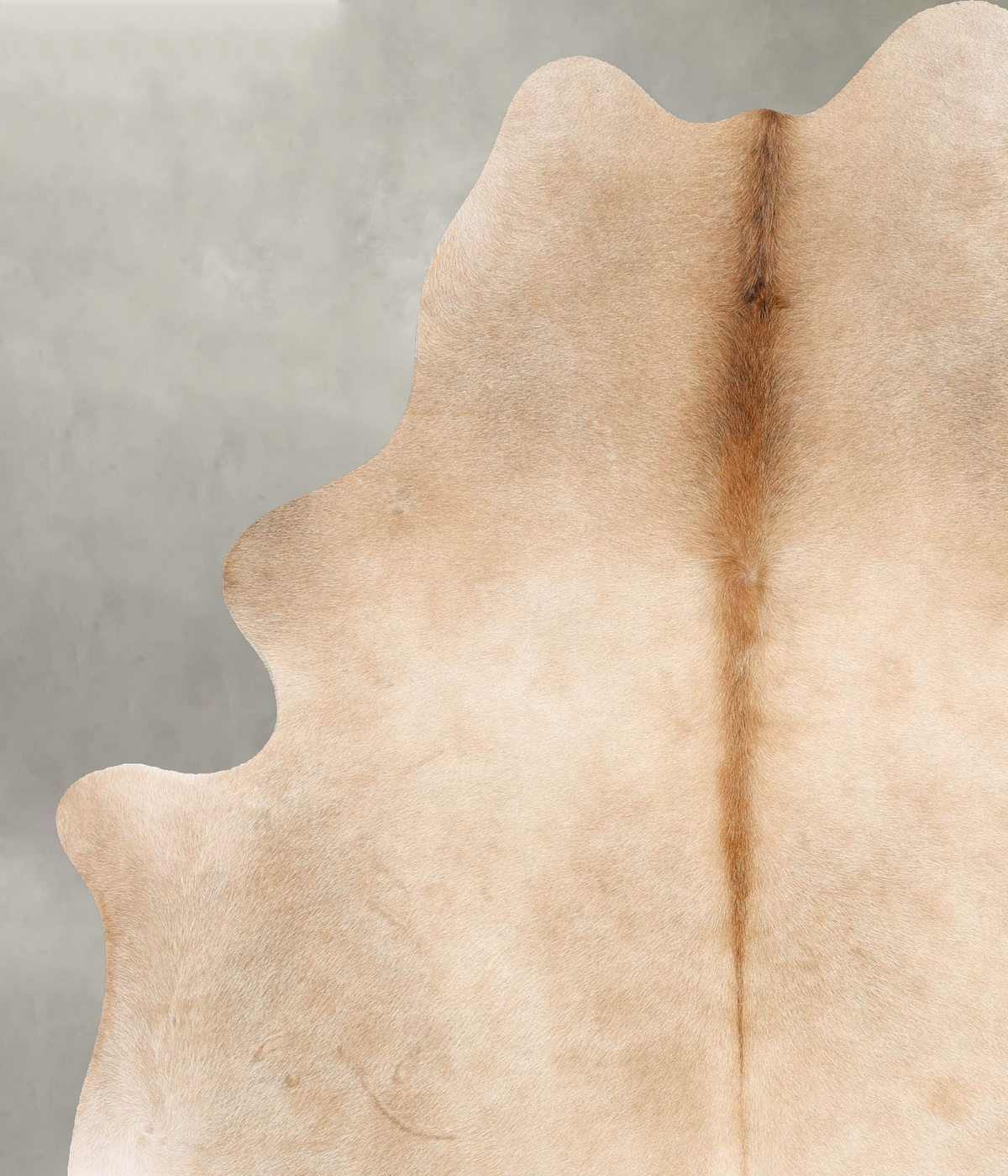 Beige X-Large Brazilian Cowhide Rug 7'7"H x 6'3"W #B29277 by Hudson Hides