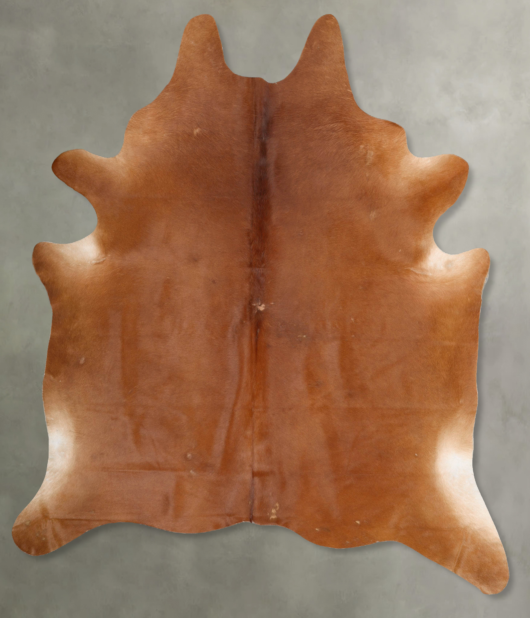 Solid Brown Cowhide Rug #B29279