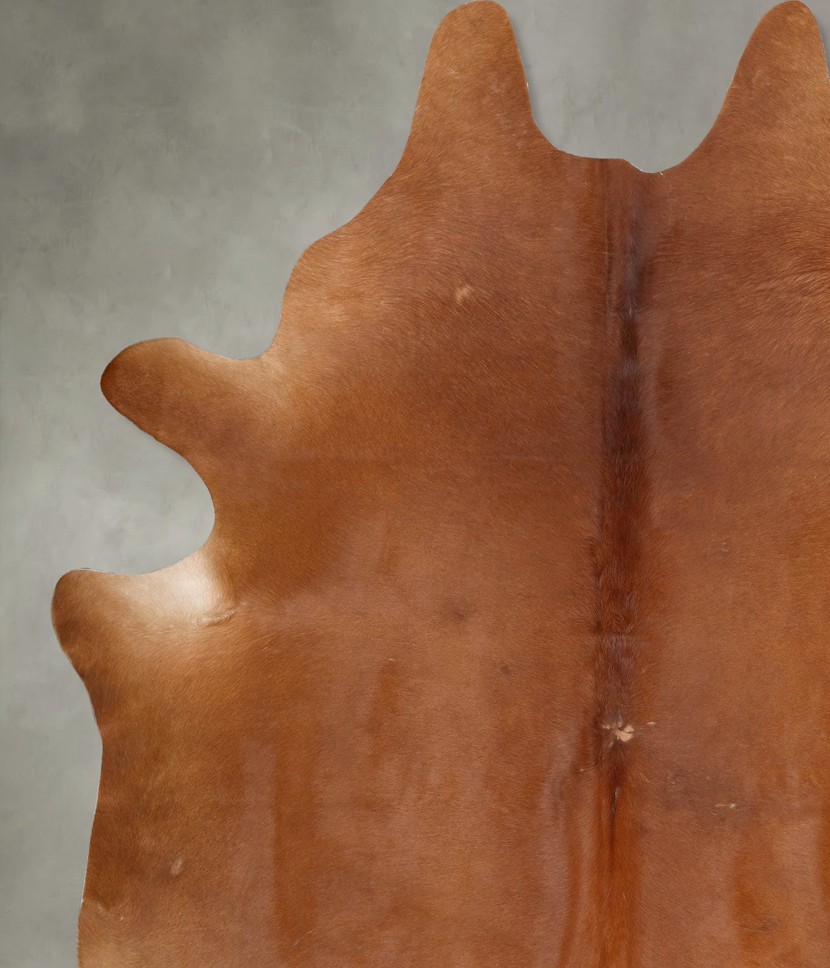 Solid Brown XX-Large Brazilian Cowhide Rug 8'9"H x 7'2"W #B29279 by Hudson Hides