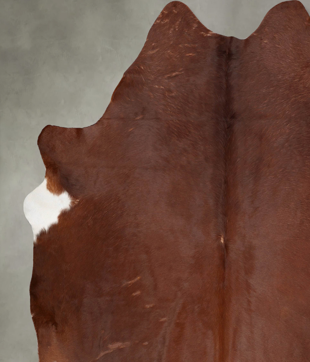 Solid Brown XX-Large Brazilian Cowhide Rug 8'5"H x 7'7"W #B29280 by Hudson Hides