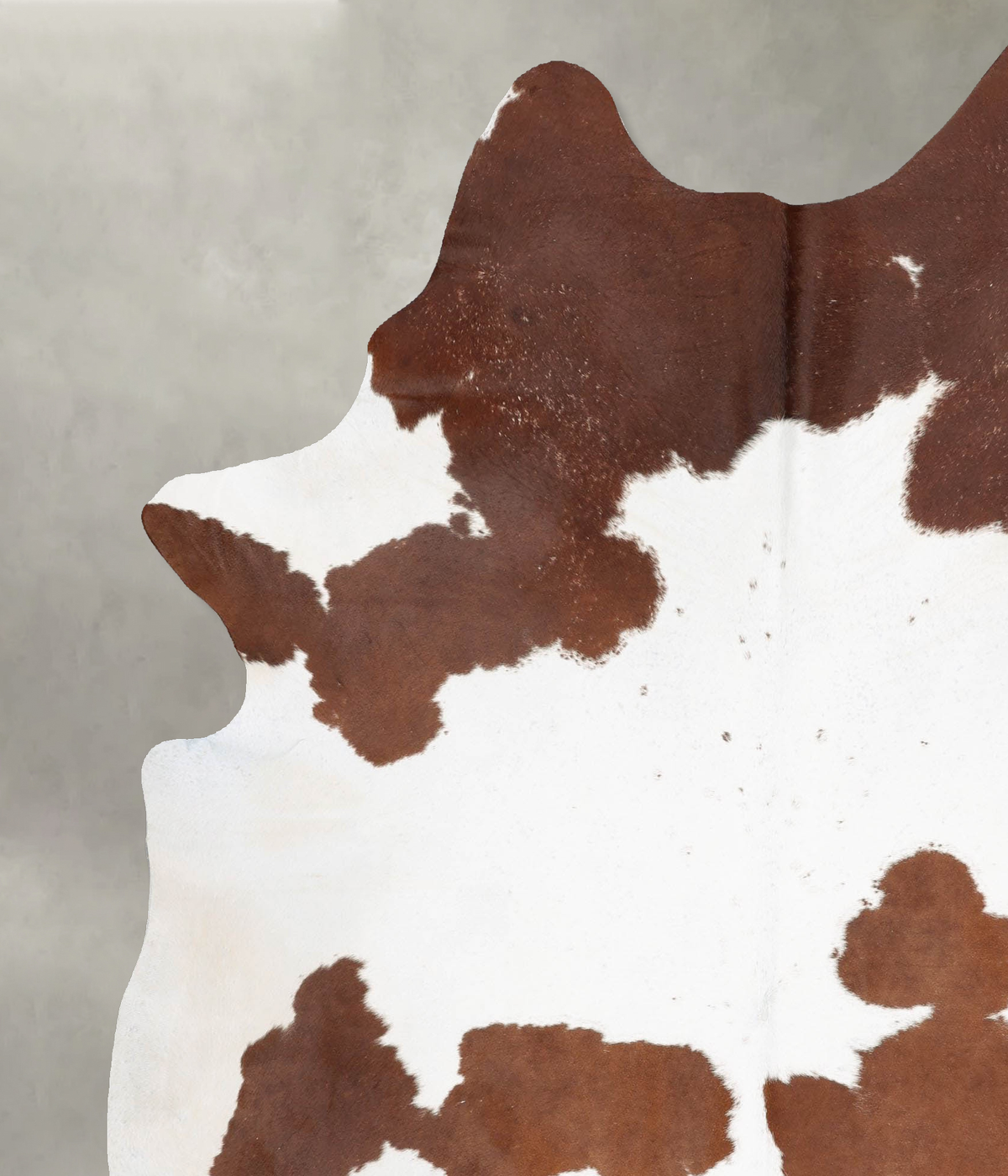 Brown and White XX-Large Brazilian Cowhide Rug 8'1"H x 6'7"W #B29286 by Hudson Hides