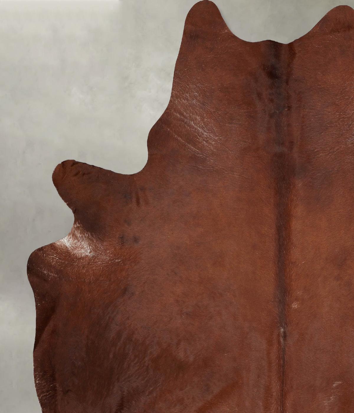 Solid Brown XX-Large Brazilian Cowhide Rug 9'2"H x 7'3"W #B29288 by Hudson Hides