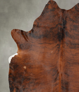 Medium Brindle XX-Large Brazilian Cowhide Rug 8'8"H x 7'4"W #B29289 by Hudson Hides