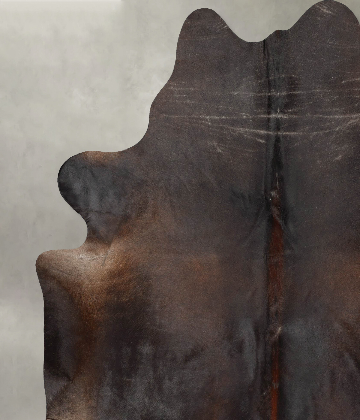 Chocolate XX-Large Brazilian Cowhide Rug 7'9"H x 6'7"W #B29290 by Hudson Hides