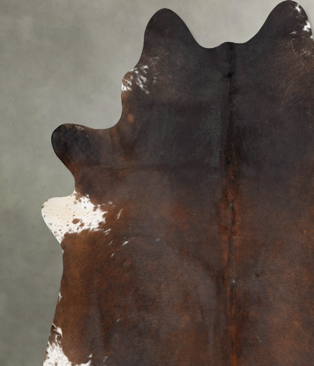 Chocolate and White XX-Large Brazilian Cowhide Rug 8'8"H x 7'11"W #B29294 by Hudson Hides