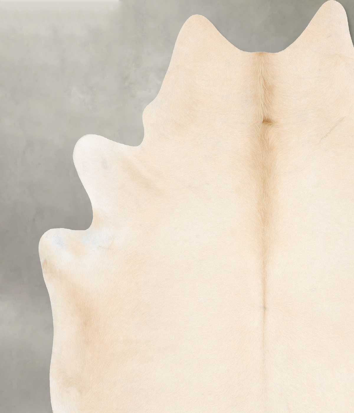 Palomino XX-Large Brazilian Cowhide Rug 7'11"H x 6'11"W #B29311 by Hudson Hides