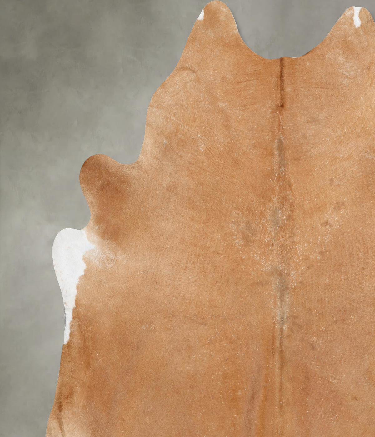 Beige XX-Large Brazilian Cowhide Rug 8'5"H x 7'7"W #B29312 by Hudson Hides