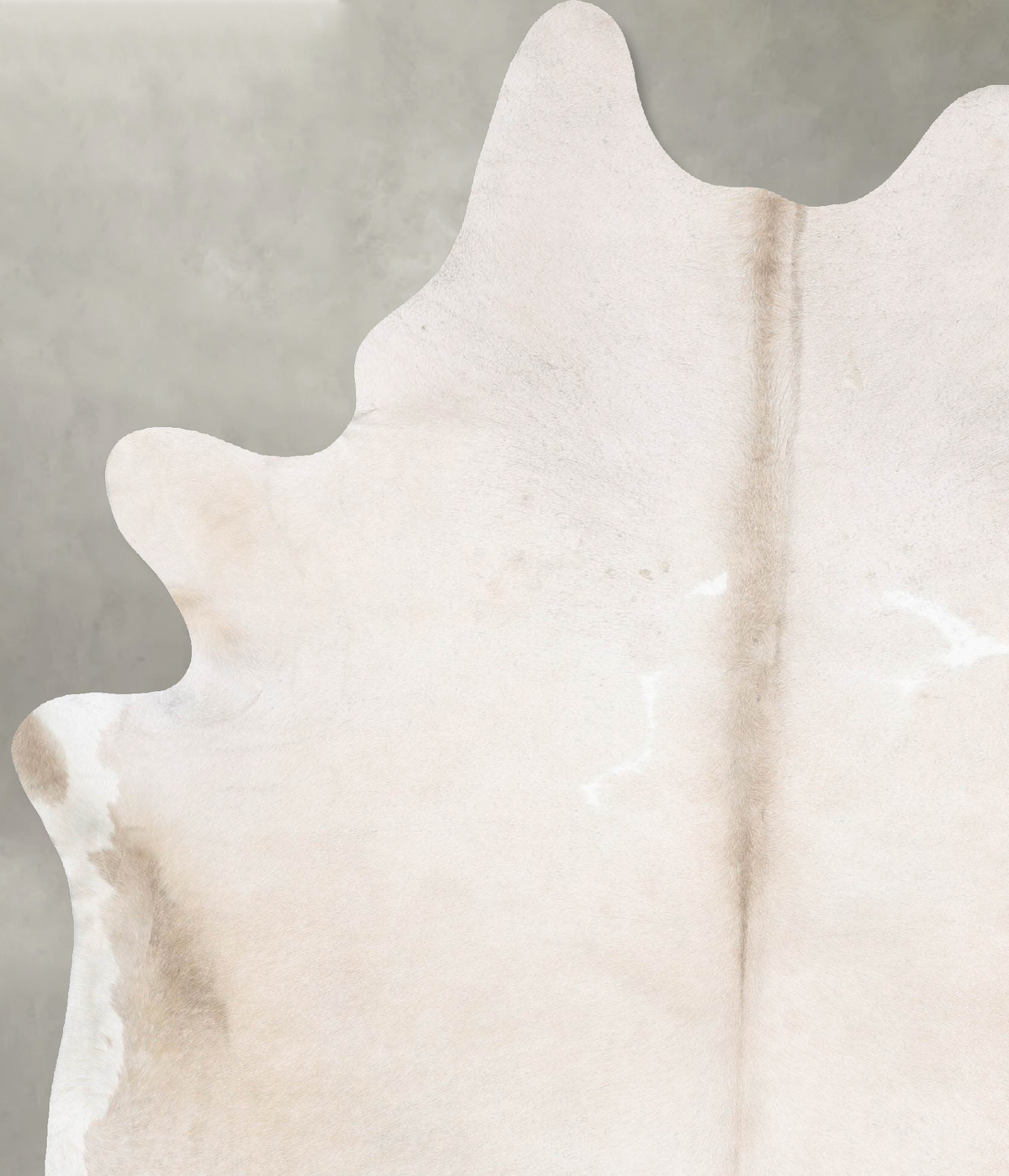 Champagne XX-Large Brazilian Cowhide Rug 8'8"H x 6'6"W #B29322 by Hudson Hides