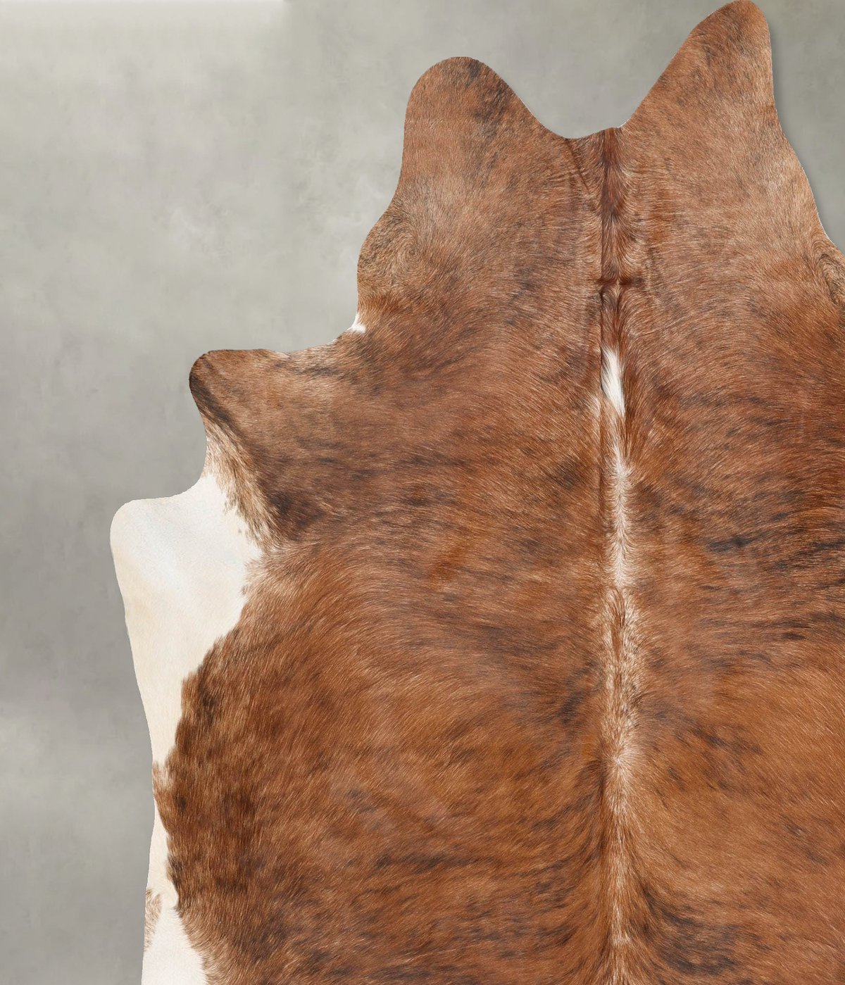 Medium Brindle XX-Large Brazilian Cowhide Rug 8'1"H x 7'3"W #B29325 by Hudson Hides