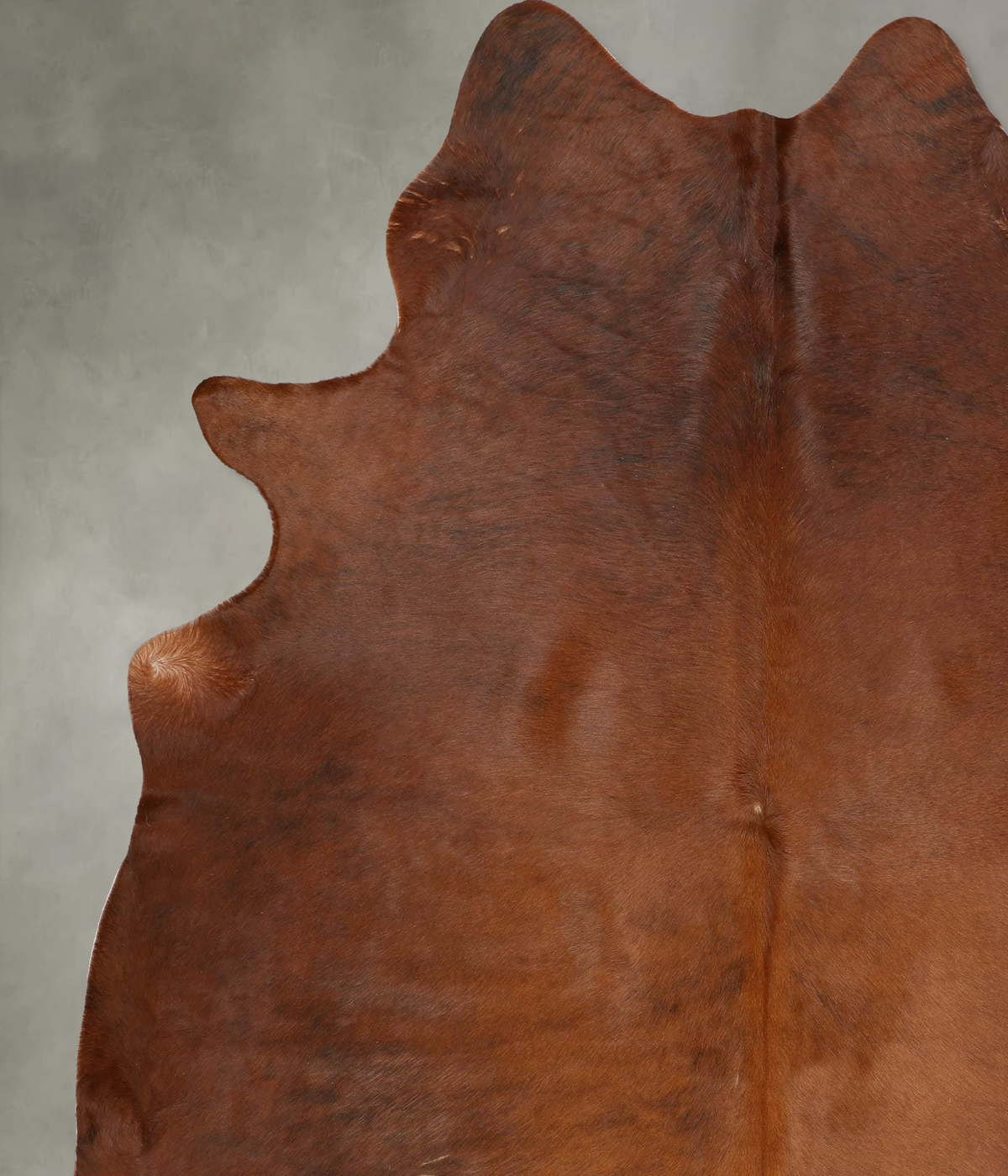 Medium Brindle XX-Large Brazilian Cowhide Rug 8'0"H x 6'10"W #B29326 by Hudson Hides