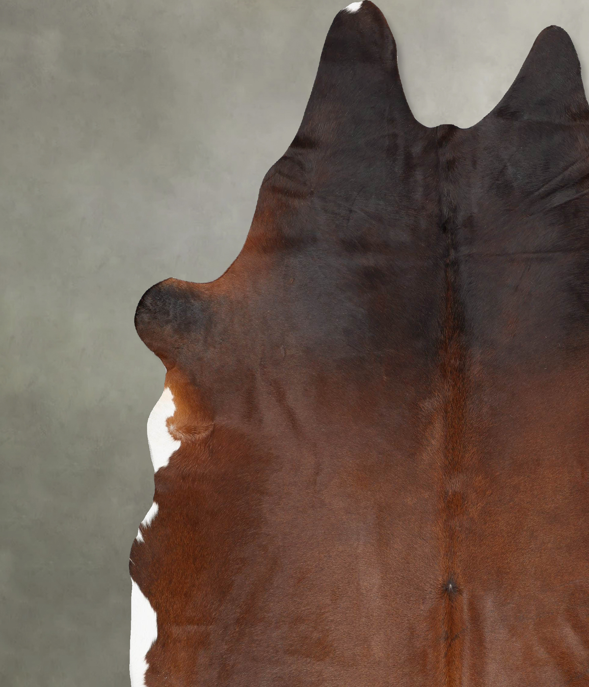 Warm Caramel XX-Large Brazilian Cowhide Rug 8'8"H x 7'7"W #B29330 by Hudson Hides