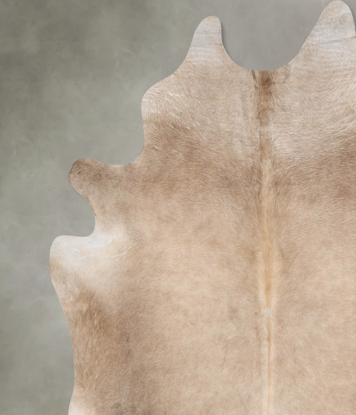 Champagne XX-Large Brazilian Cowhide Rug 8'10"H x 7'1"W #B29335 by Hudson Hides
