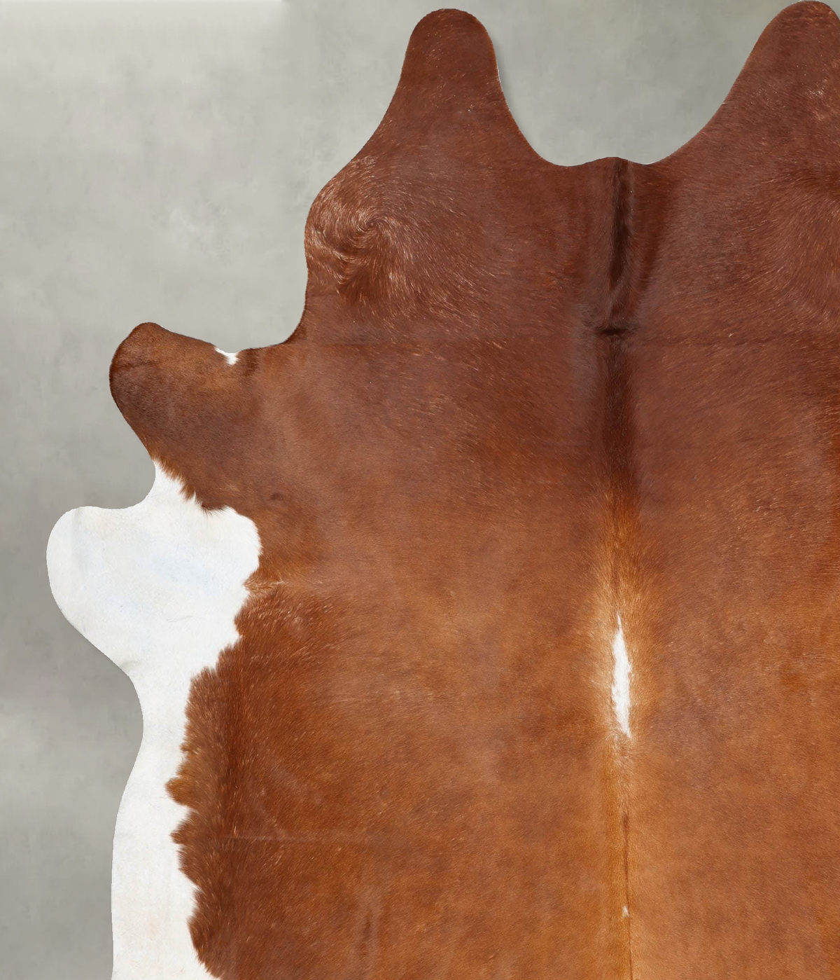 Brown and White Regular XX-Large Brazilian Cowhide Rug 8'5"H x 7'1"W #B29337 by Hudson Hides