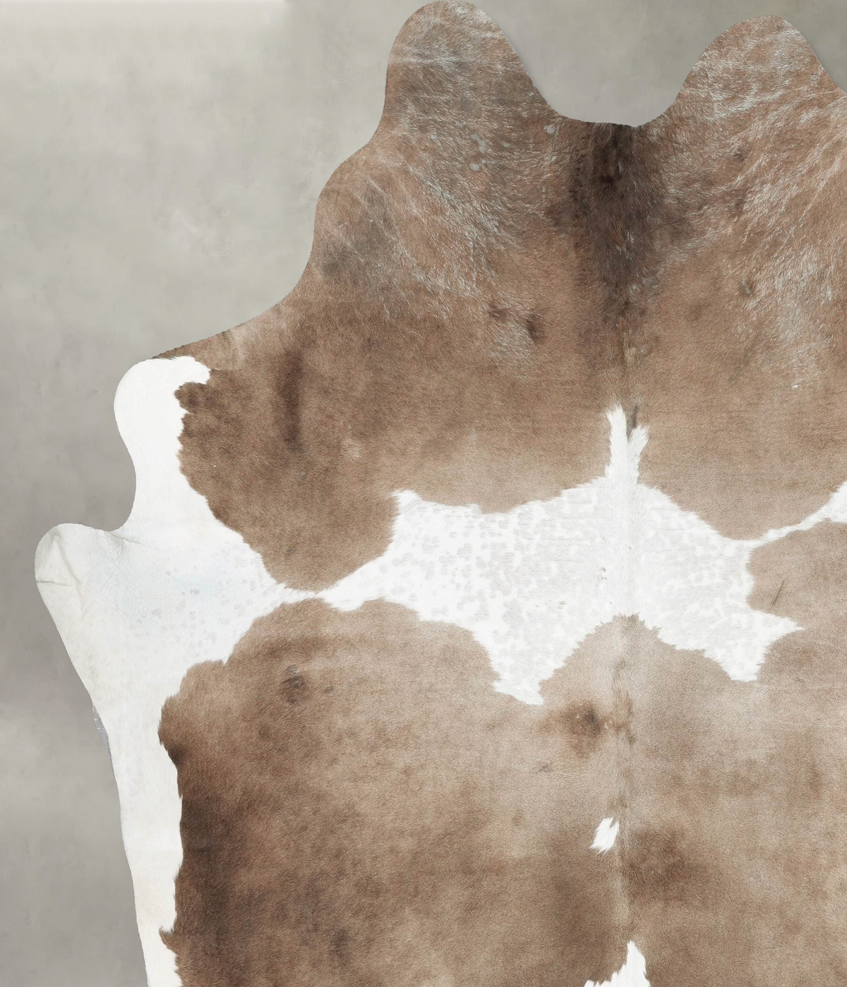 Taupe XX-Large Brazilian Cowhide Rug 8'4"H x 7'1"W #B29339 by Hudson Hides