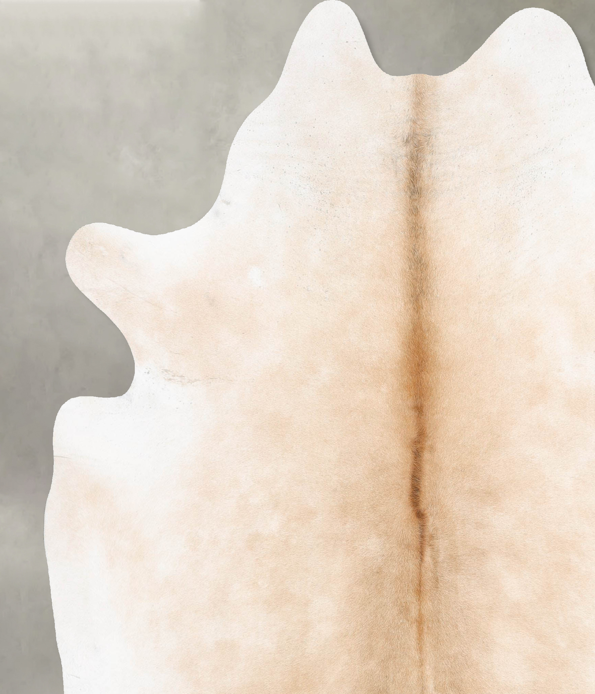 Light Caramel XX-Large Brazilian Cowhide Rug 8'4"H x 6'10"W #B29350 by Hudson Hides