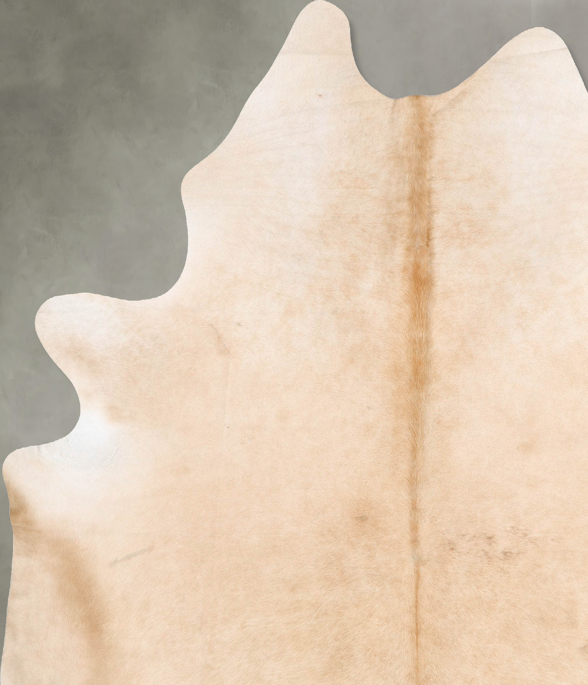 Palomino XX-Large Brazilian Cowhide Rug 8'11"H x 7'0"W #B29351 by Hudson Hides