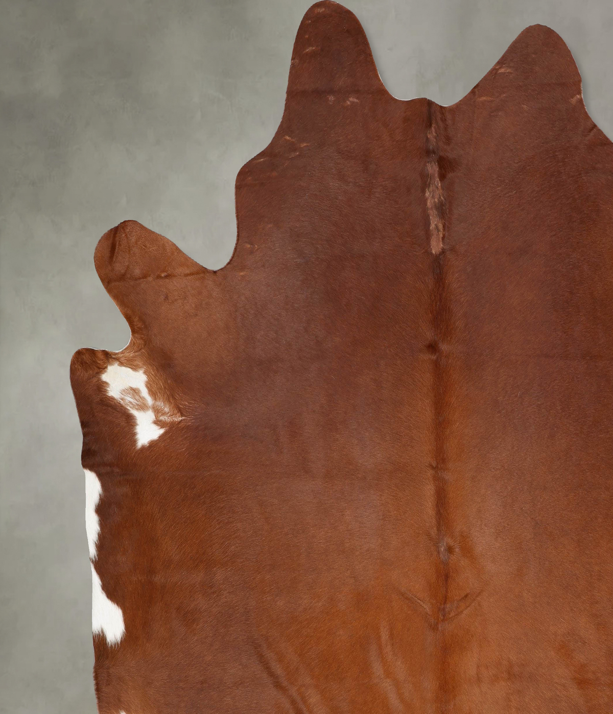 Solid Brown XX-Large Brazilian Cowhide Rug 8'6"H x 8'3"W #B29360 by Hudson Hides