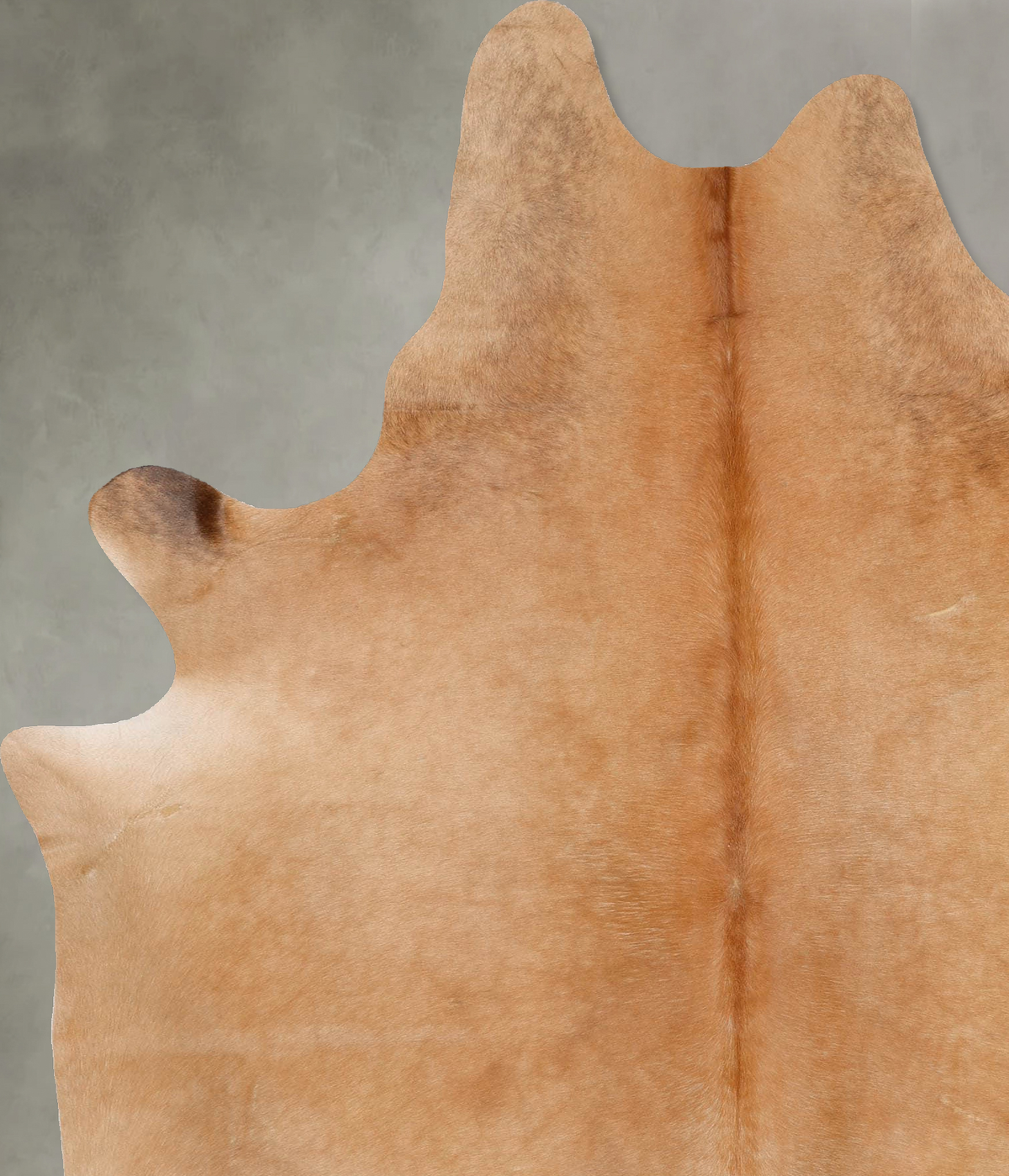 Beige X-Large Brazilian Cowhide Rug 8'3"H x 5'11"W #B29375 by Hudson Hides