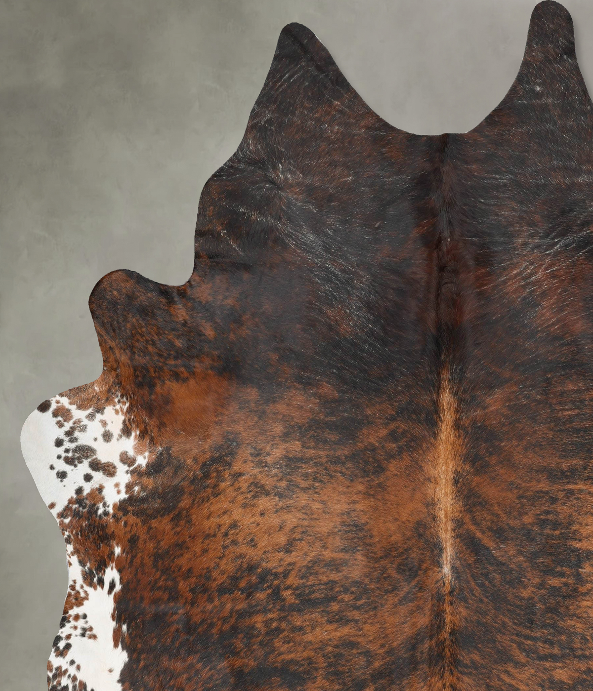 Dark Brindle XX-Large Brazilian Cowhide Rug 8'11"H x 7'1"W #B29376 by Hudson Hides