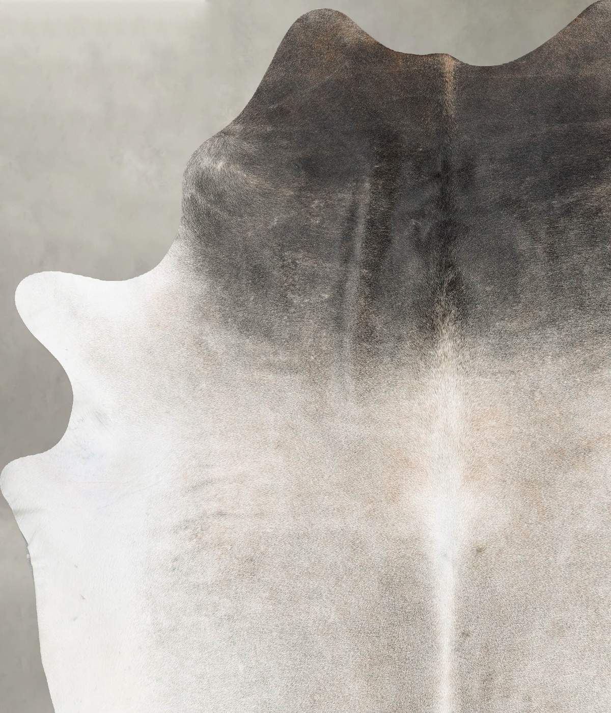 Grey with Beige XX-Large Brazilian Cowhide Rug 8'5"H x 6'10"W #B29377 by Hudson Hides