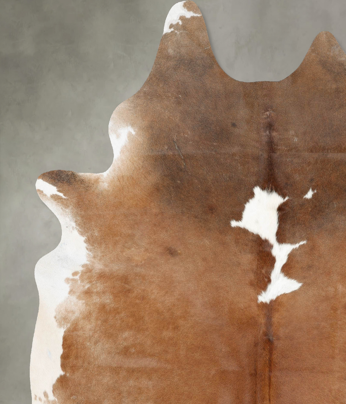 Brown and White XX-Large Brazilian Cowhide Rug 8'7"H x 6'4"W #B29379 by Hudson Hides