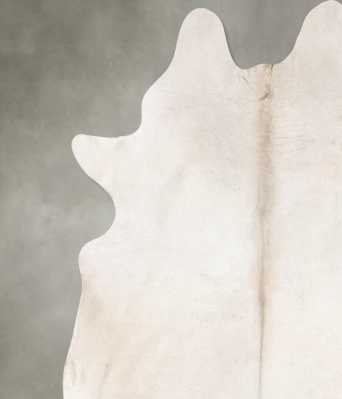 Champagne XX-Large Brazilian Cowhide Rug 8'0"H x 6'11"W #B29382 by Hudson Hides