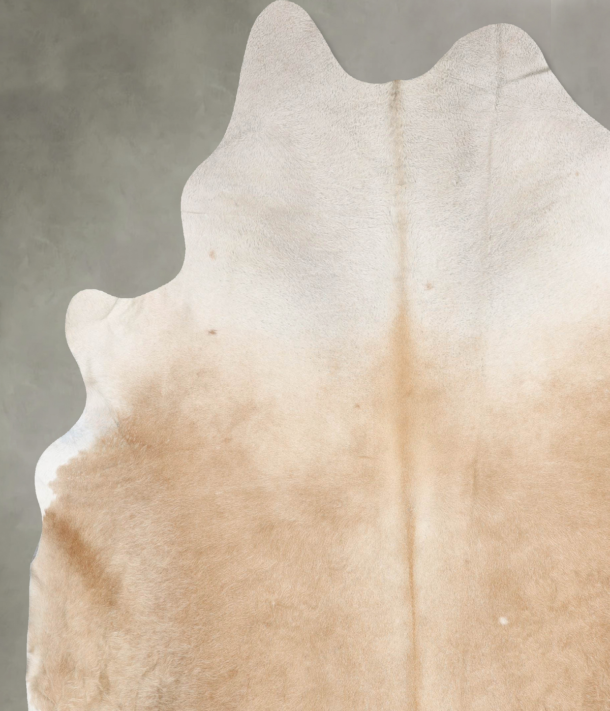 Beige XX-Large Brazilian Cowhide Rug 8'11"H x 7'3"W #B29388 by Hudson Hides