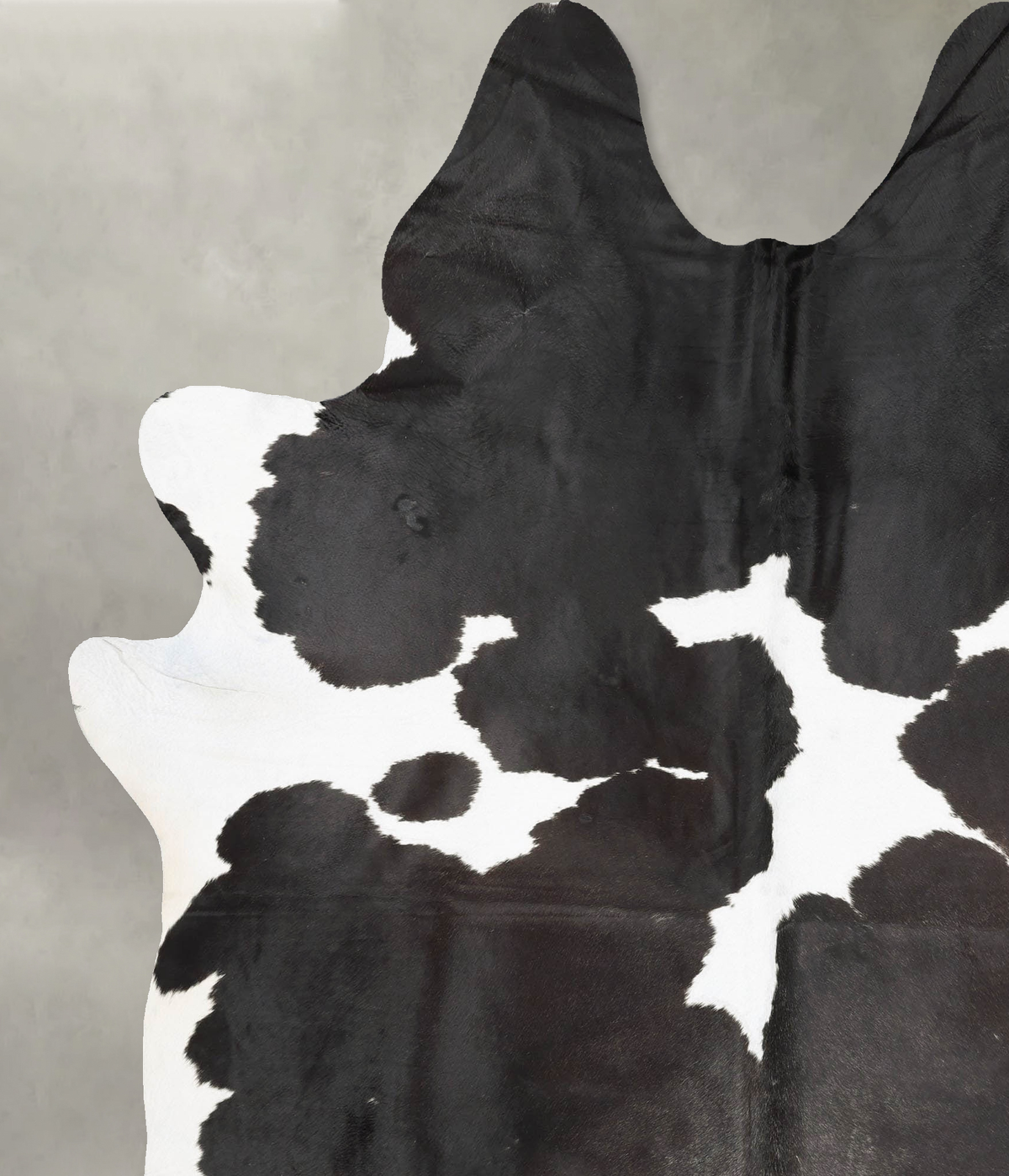 Black and White XX-Large Brazilian Cowhide Rug 8'4"H x 6'8"W #B29394 by Hudson Hides