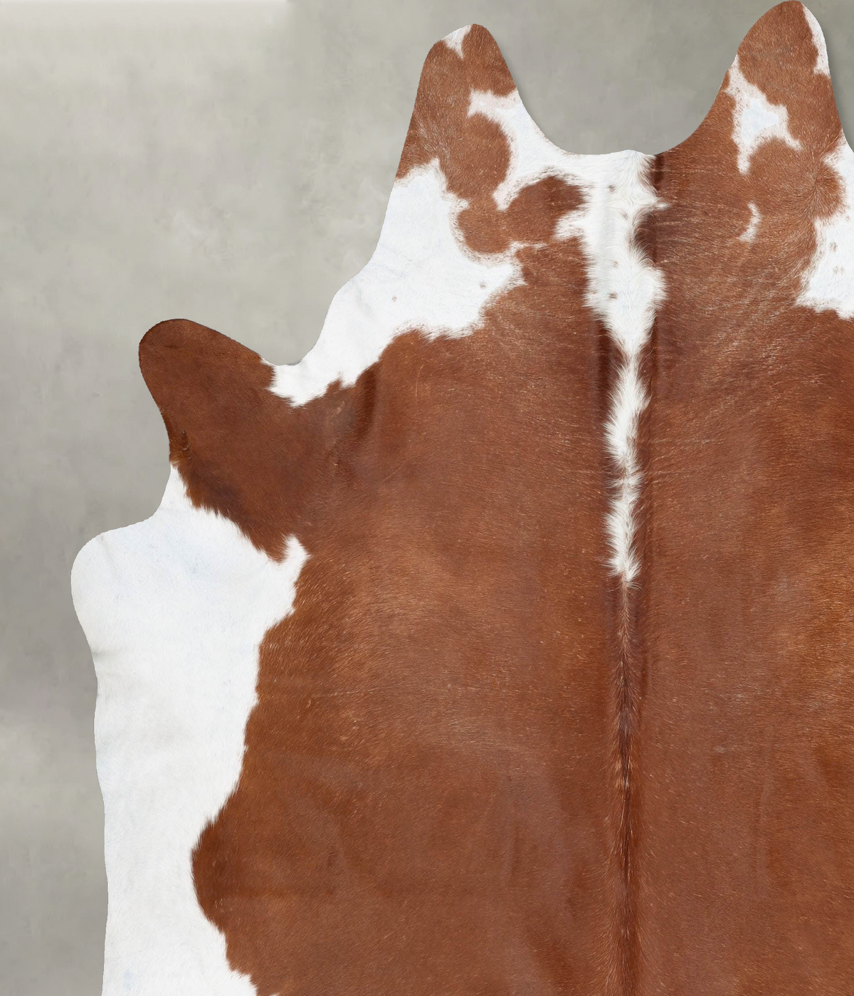 Hereford XX-Large Brazilian Cowhide Rug 8'9"H x 7'8"W #B29403 by Hudson Hides