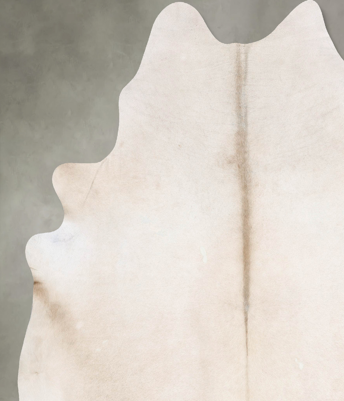 Champagne XX-Large Brazilian Cowhide Rug 8'5"H x 6'11"W #B29410 by Hudson Hides