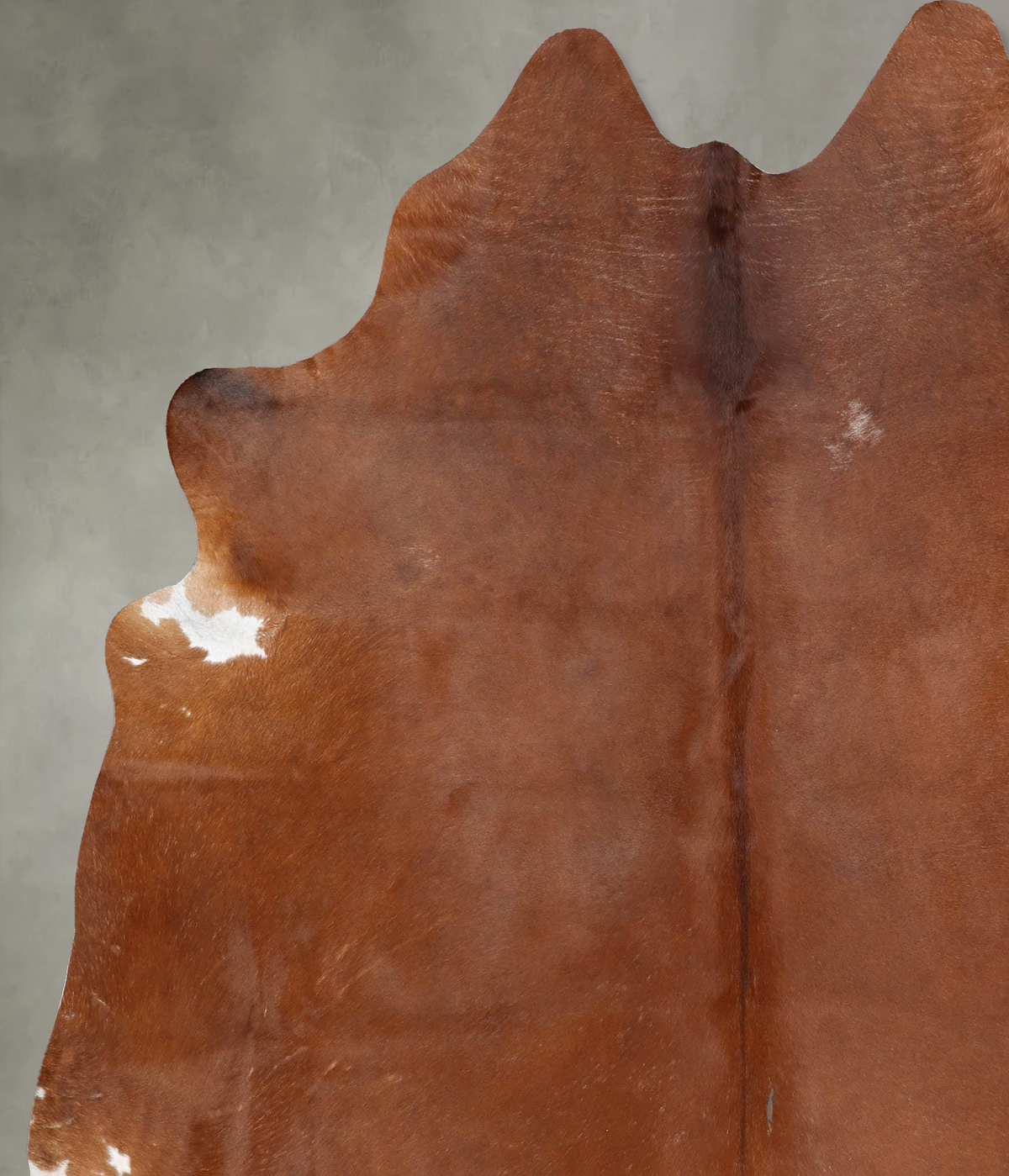 Solid Brown XX-Large Brazilian Cowhide Rug 7'5"H x 7'0"W #B29420 by Hudson Hides