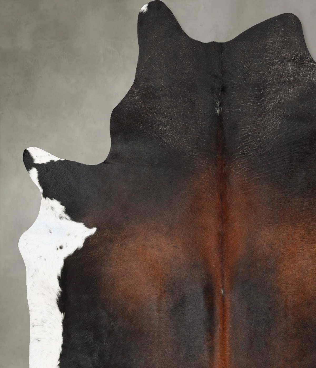 Chocolate and White XX-Large Brazilian Cowhide Rug 7'10"H x 6'8"W #B29423 by Hudson Hides