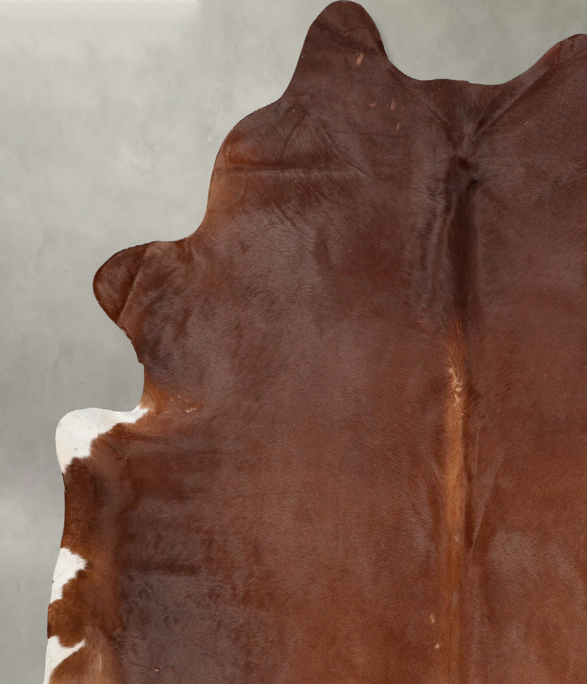 Solid Brown XX-Large Brazilian Cowhide Rug 7'11"H x 6'9"W #B29427 by Hudson Hides
