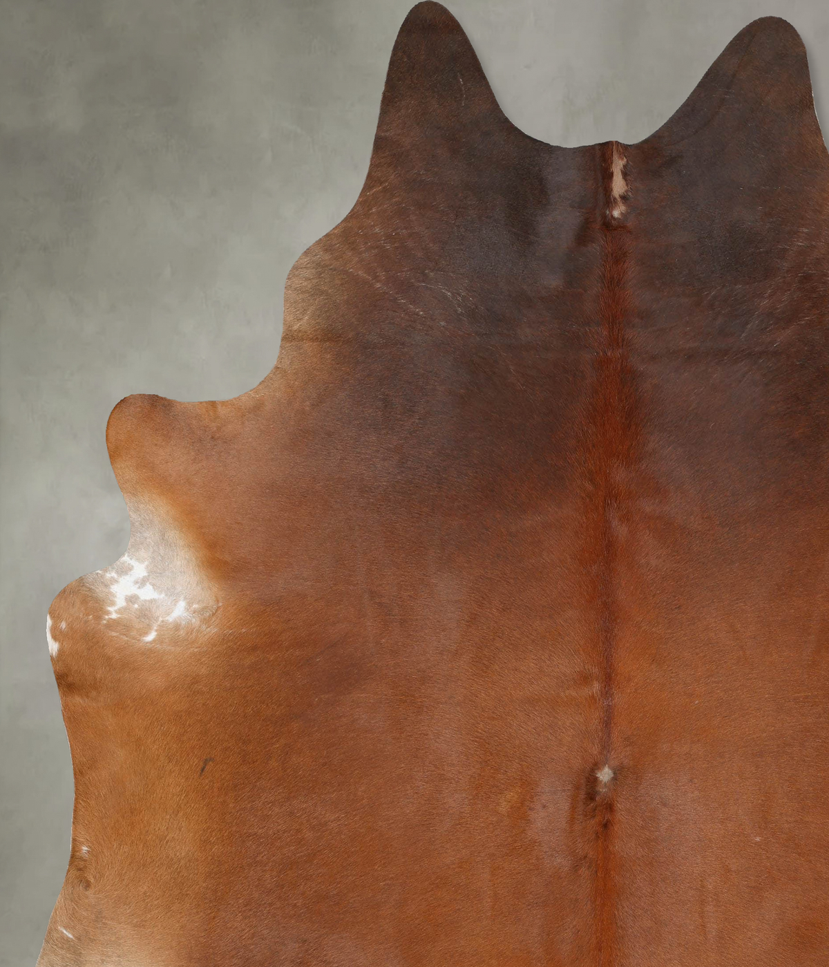 Warm Caramel XX-Large Brazilian Cowhide Rug 8'9"H x 7'4"W #B29430 by Hudson Hides