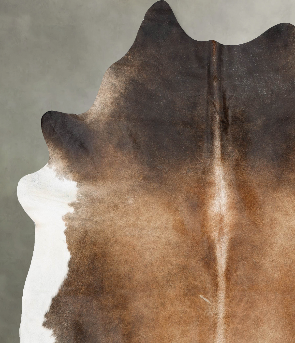Chocolate and White XX-Large Brazilian Cowhide Rug 8'4"H x 7'0"W #B29433 by Hudson Hides