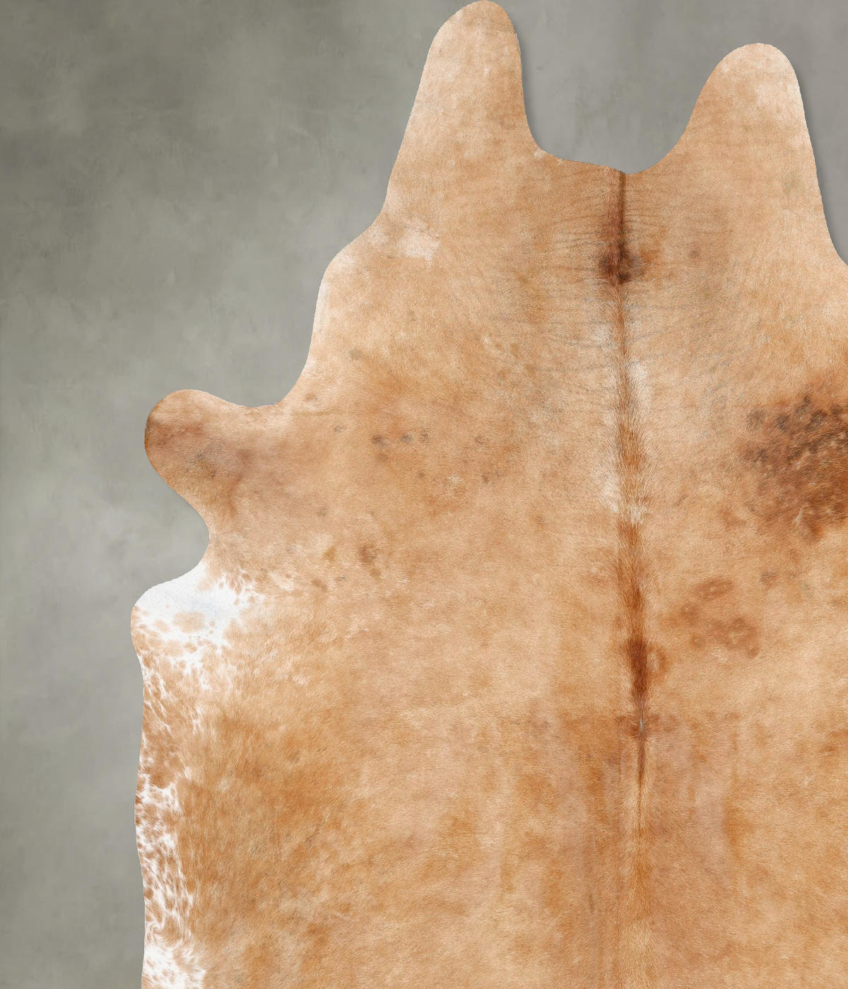 Beige XX-Large Brazilian Cowhide Rug 9'1"H x 7'6"W #B29435 by Hudson Hides