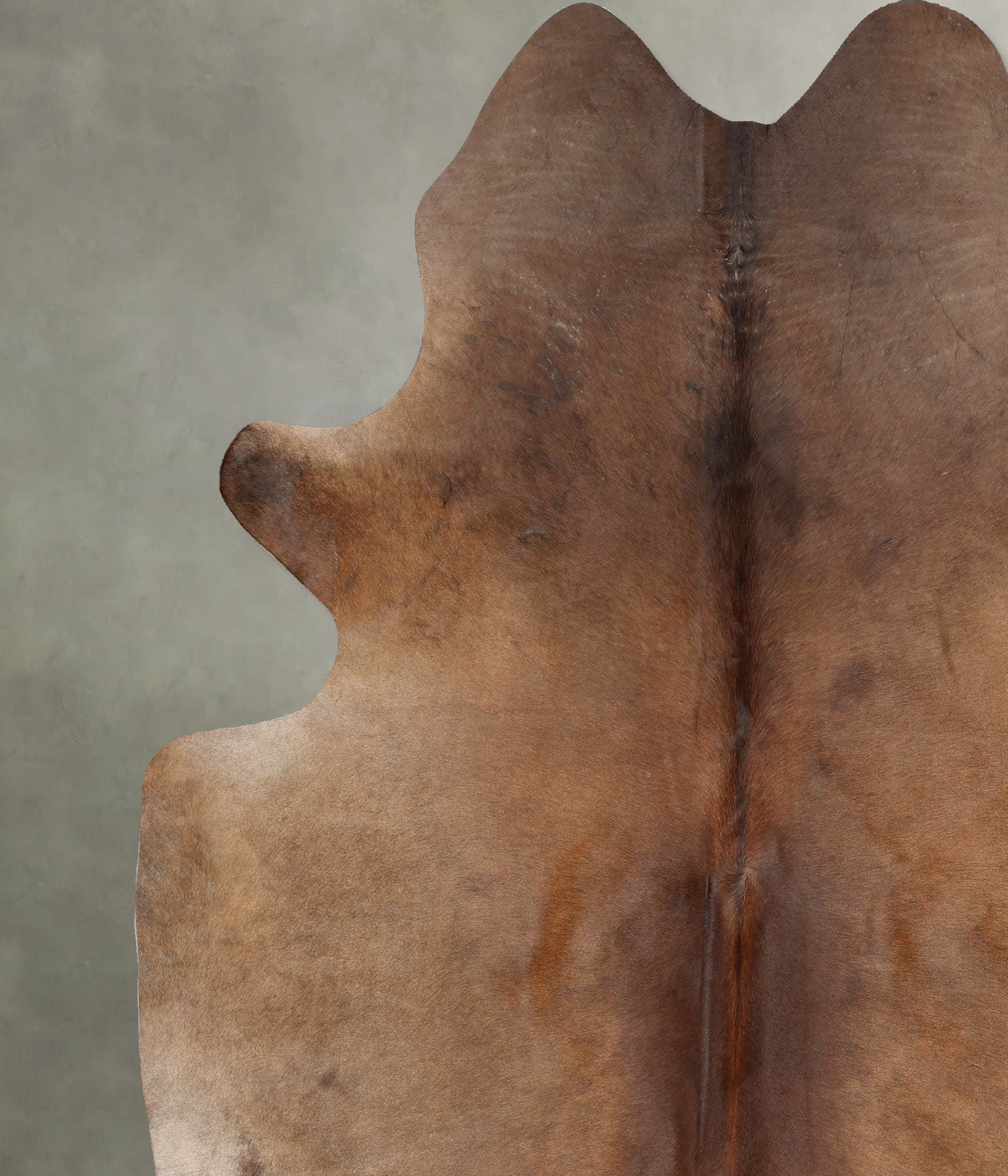 Chocolate XX-Large Brazilian Cowhide Rug 7'11"H x 6'9"W #B29439 by Hudson Hides