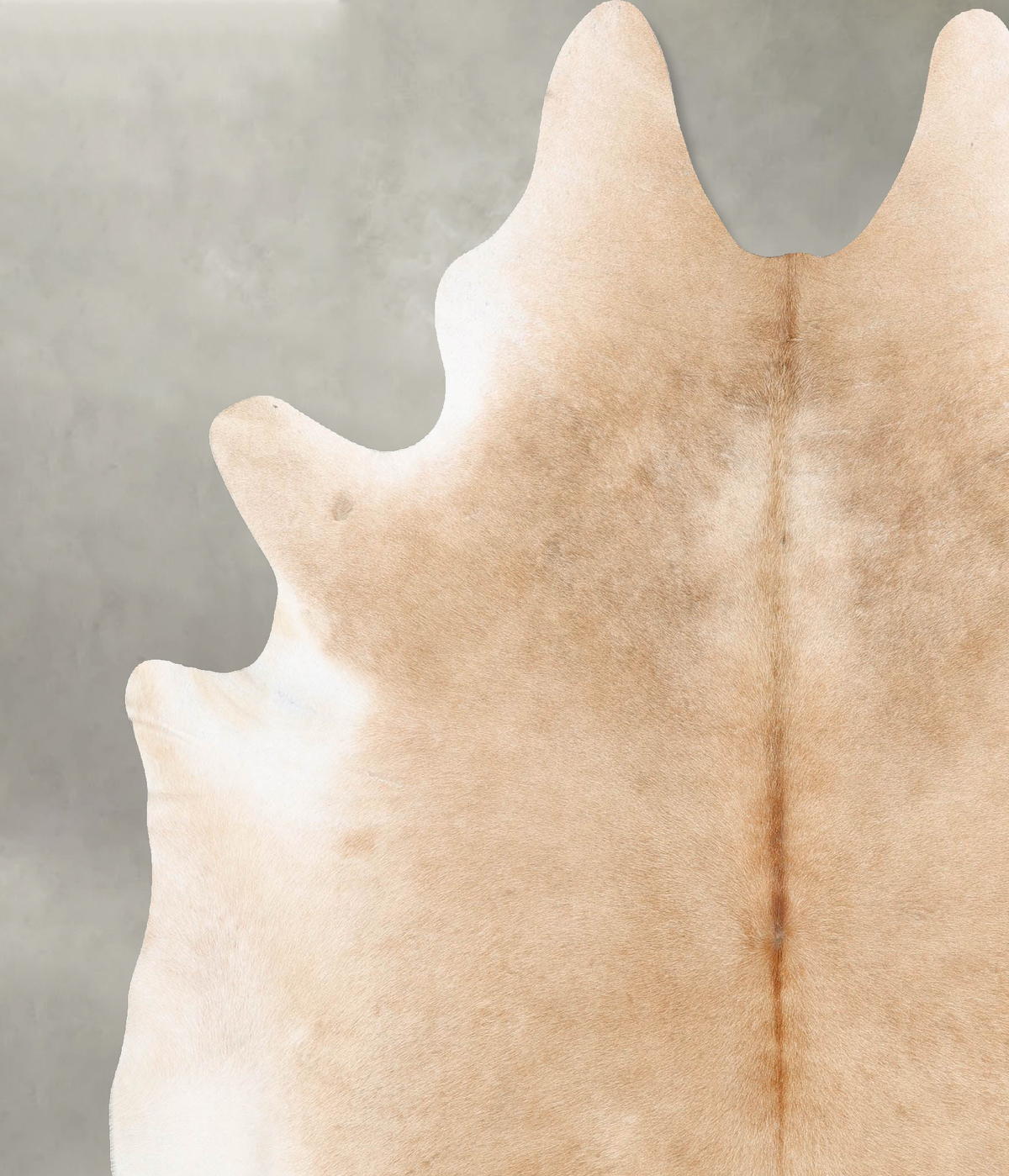 Beige XX-Large Brazilian Cowhide Rug 8'3"H x 7'0"W #B29440 by Hudson Hides